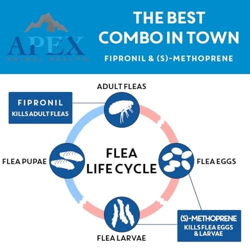 APEX ANIMAL HEALTH Apex Plus Flea & Tick Prevention for Medium Dogs 23-44 lbs | 3-Month Supply thumbnail 3