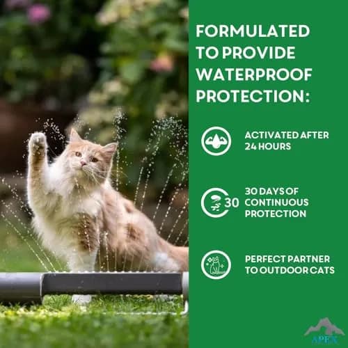 APEX ANIMAL HEALTH Flea & Tick Prevention Drops for Cats >1.5 lbs | 3-Month Supply, Easy & Safe thumbnail 7