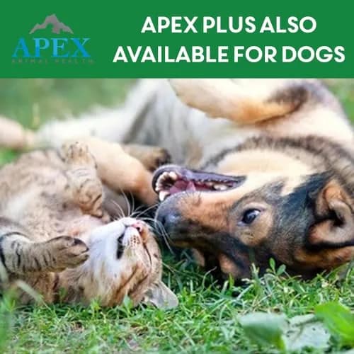 APEX ANIMAL HEALTH Flea & Tick Prevention Drops for Cats >1.5 lbs | 3-Month Supply, Easy & Safe thumbnail 8