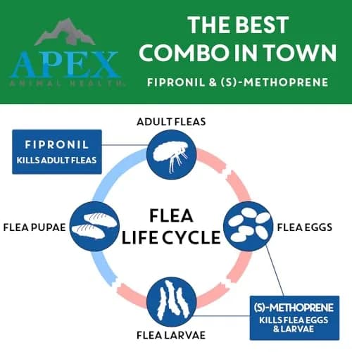 APEX ANIMAL HEALTH Flea & Tick Prevention Drops for Cats >1.5 lbs | 3-Month Supply, Easy & Safe thumbnail 4
