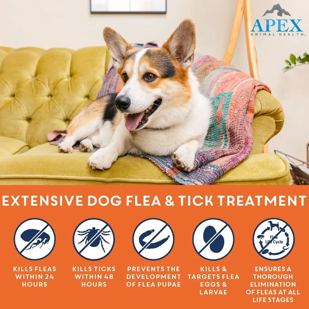 APEX ANIMAL HEALTH Apex Plus Flea & Tick Prevention for Small Dogs 5-22 lbs | 3-Month Supply thumbnail 2