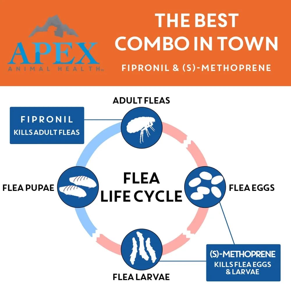 APEX ANIMAL HEALTH Apex Plus Flea & Tick Prevention for Small Dogs 5-22 lbs | 3-Month Supply thumbnail 3