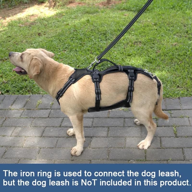 Coodeo Dog Lift Harness for Large Dogs, Black, L | Rehabilitation Support Sling for Old & Injured Pets thumbnail 8