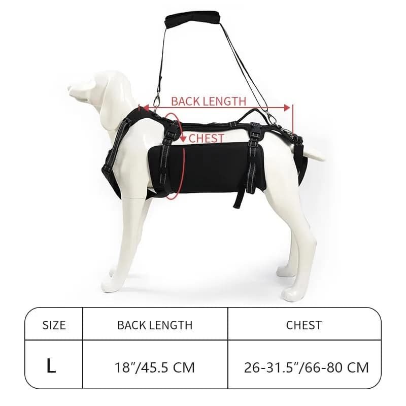 Coodeo Dog Lift Harness for Large Dogs, Black, L | Rehabilitation Support Sling for Old & Injured Pets thumbnail 10