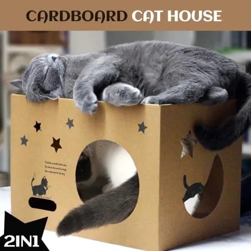 ARGOPET Cat Cardboard House with 2 Scratching Pads, 104cm x 61cm x 61cm (41"L x 24"W x 24"H) | Detachable Star Pattern Lounge thumbnail 5