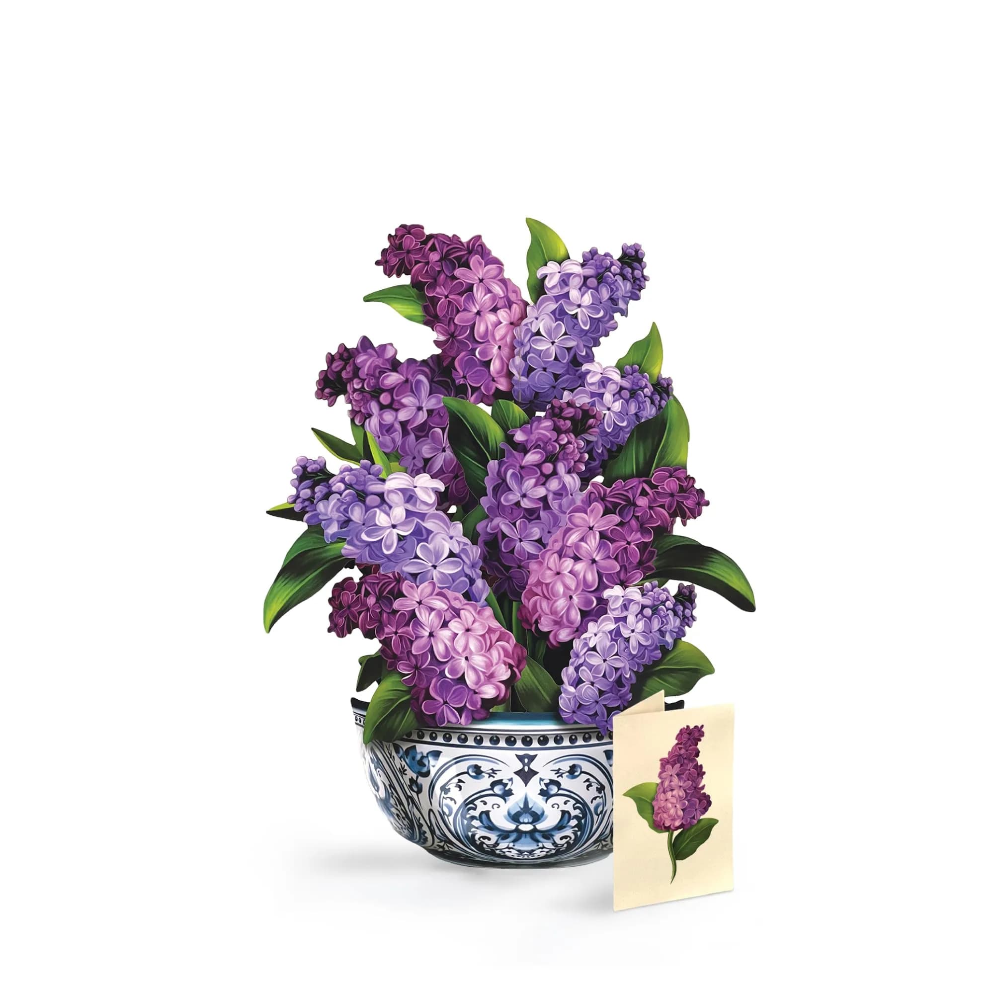 Freshcut Paper Dahlia Sunrise 3D Pop Up Card 14.5 Inch | Greeting Card for Birthdays, Mother's Day, Thank You, Gifts for Mom — Garden Lilacs / Classic