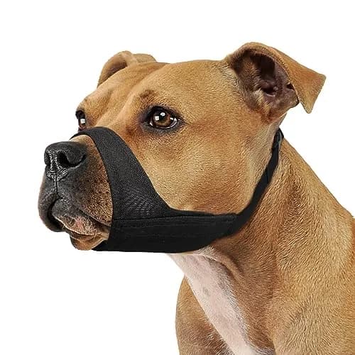 Mayerzon Fabric Pitbull Muzzle for Large Short Snout Dogs | Anti Fierce Biting, Breathable & Durable thumbnail 1