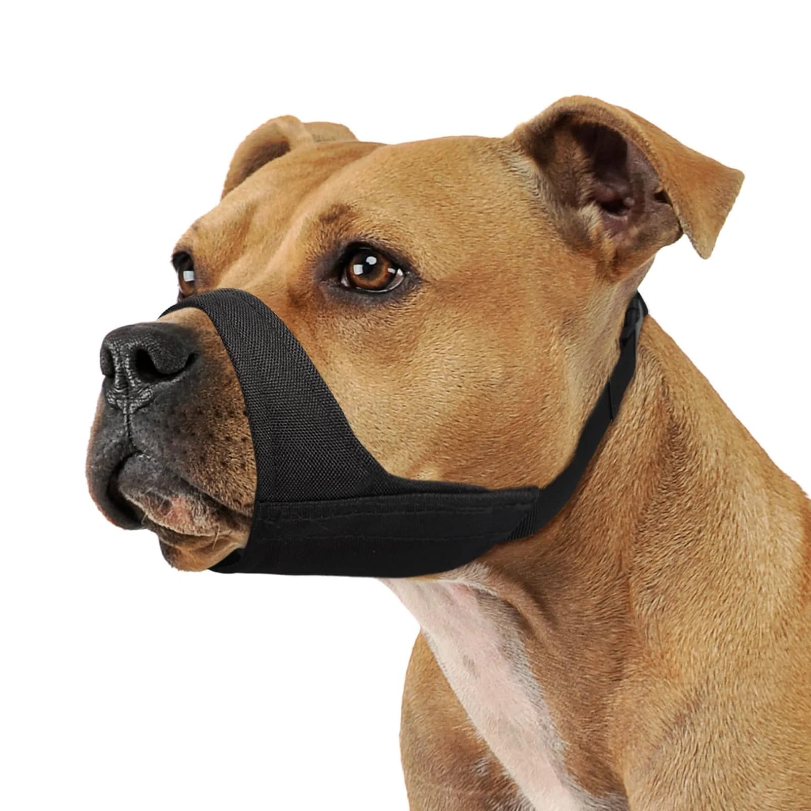Mayerzon Fabric Pitbull Muzzle for Large Short Snout Dog Anti Fierce Biting | Breathable, Durable & Safe - main product image