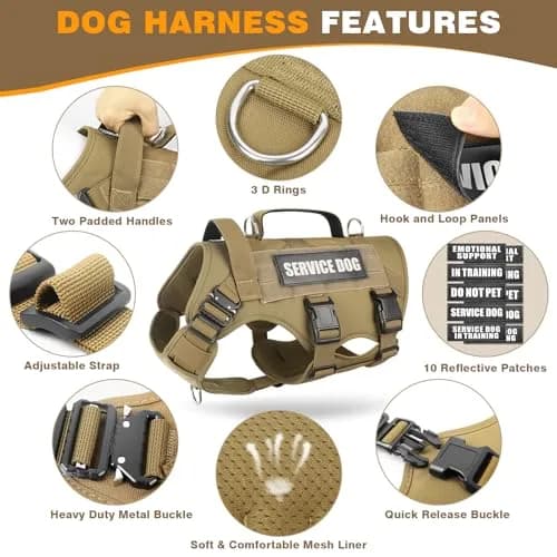 WINSEE Tactical Service Dog Vest Harness for Large Dogs | Heavy Duty MOLLE Vest with 10 Patches, No-Pull Training Walking Harness thumbnail 3