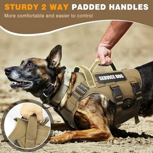 WINSEE Tactical Service Dog Vest Harness for Medium Dogs | No-Pull Heavy Duty with 10 Patches, 22-34" Chest thumbnail 6