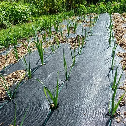 Groweco Heavy Duty Weed Barrier Fabric 6FTX100FT (183cm x 30.5m) | Landscape Fabric for Gardens & Pathways thumbnail 7