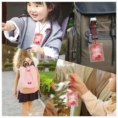 WEBEEDY 16 Pieces Japanese Omamori Amulet for Safe Travel & Luck | Blessing & Success Charm thumbnail 4