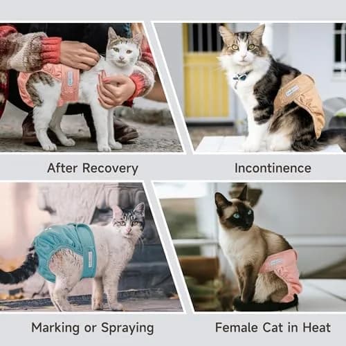 Langsprit Reusable Cat Diapers for Male & Female Cats | Washable, Leak-Free, Adjustable Fit thumbnail 5