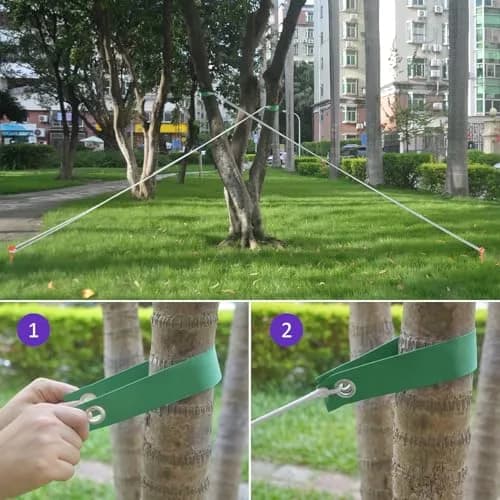 FCENDS Tree Support Straps for Staking, 40 PCS 39.6 cm (15.6 in) Green Nylon Straps | Hurricane Protection & Straightening Ties thumbnail 7