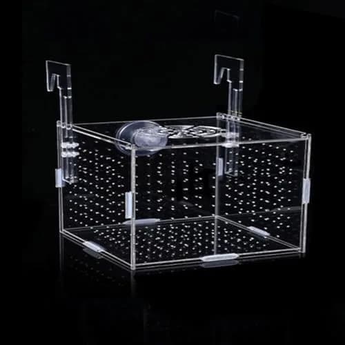 JOBEDE Acrylic Fish breeding Box 6*4*4 inch | Fish Isolation Breeder Aquarium Tank thumbnail 1