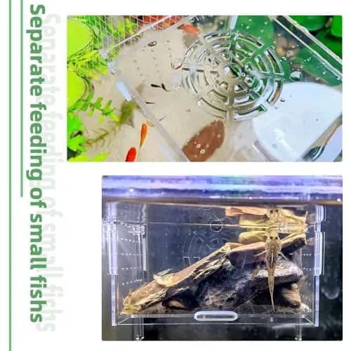 JOBEDE Acrylic Fish breeding Box 6*4*4 inch | Fish Isolation Breeder Aquarium Tank thumbnail 3