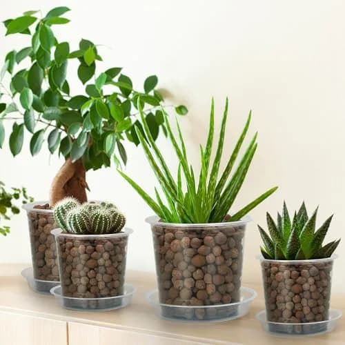 FUIJOL 6 Pack Clear Plant Saucer 4 Inch | Durable Water Catcher for Pots thumbnail 4