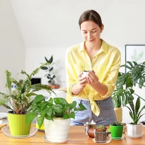 FUIJOL 6 Pack Clear Plant Saucer | Durable Water Catcher for Pots (10") thumbnail 3