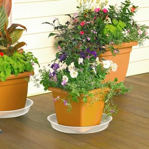 FUIJOL 14" Clear Plant Saucer | Durable Plastic Water Catcher for Pots thumbnail 6