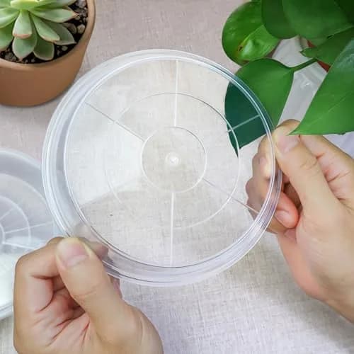 FUIJOL 6 Pack Clear Plant Saucer | Durable 8" Water Catcher for Indoor & Outdoor Pots thumbnail 5
