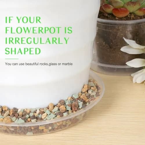 FUIJOL 6 Pack Clear Plant Saucer | Durable 8" Water Catcher for Indoor & Outdoor Pots thumbnail 7