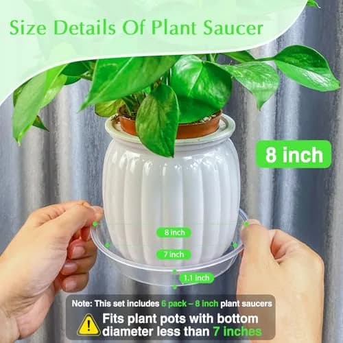 FUIJOL 6 Pack Clear Plant Saucer | Durable 8" Water Catcher for Indoor & Outdoor Pots thumbnail 2