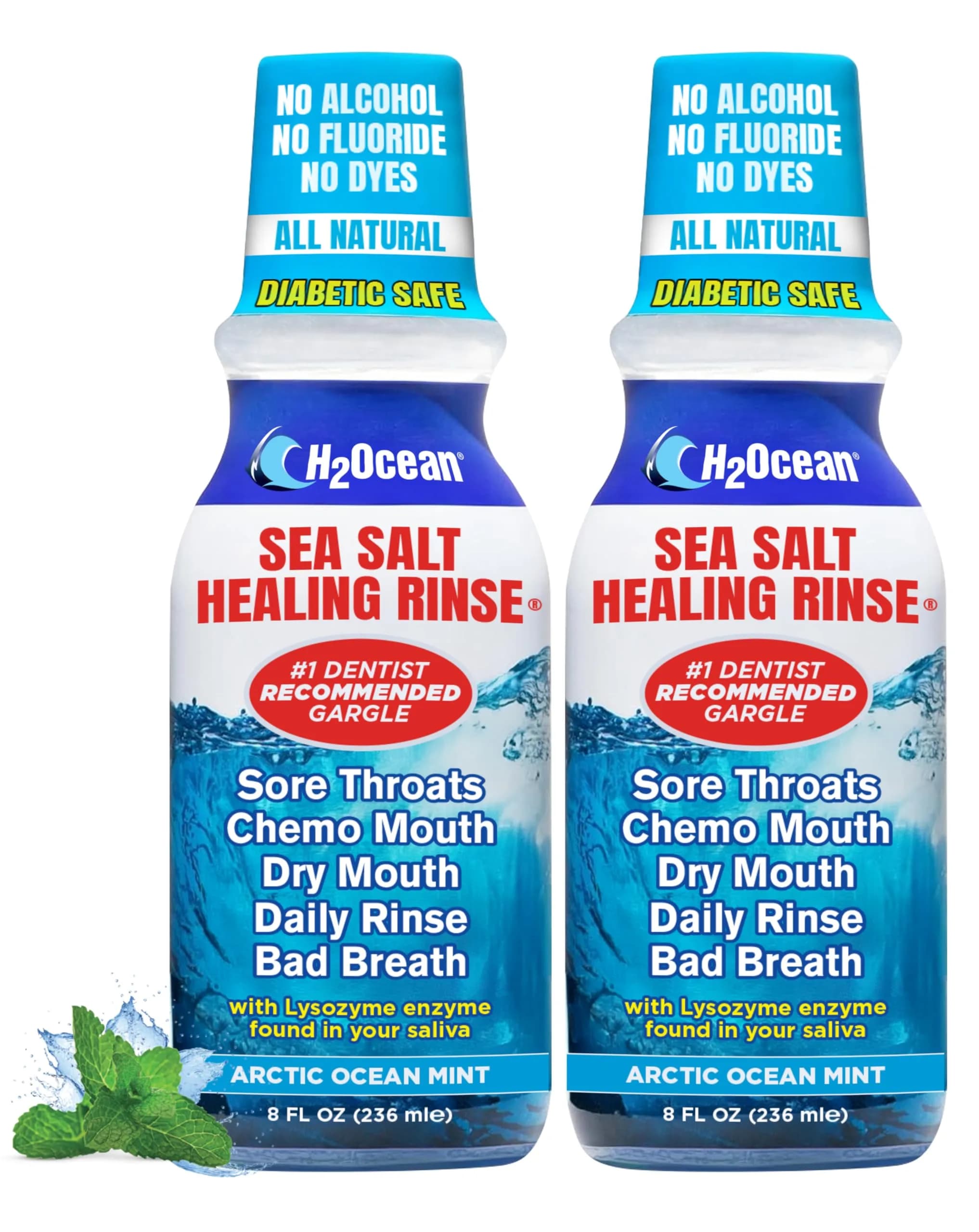 H2Ocean Healing Rinse Natural Sea Salt Mouthwash Arctic Ocean Mint | Alcohol & Fluoride-Free Oral Care for Oral Piercings & Gums — Arctic Ocean Mint / 8 Fl Oz
