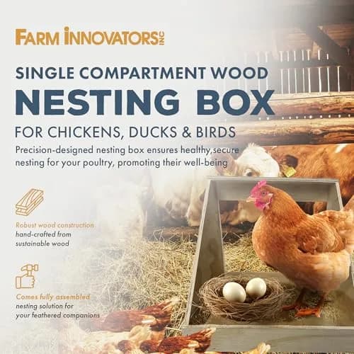 Farm Innovators Single Compartment Handcrafted Wood Chicken Nesting Box | Secure Egg-Laying Sanctuary thumbnail 2