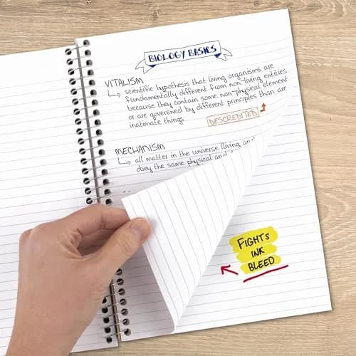 Five Star Spiral Notebook 2 Subject College Ruled 6" x 9-1/2" 80 Sheets | SFI Certified Paper thumbnail 3