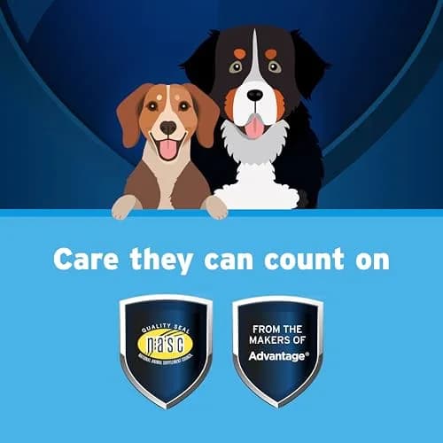 Pet Protect Omega-3 Fish Oil Supplement for Medium & Large Dogs | Supports Joint, Heart & Immune Health thumbnail 3