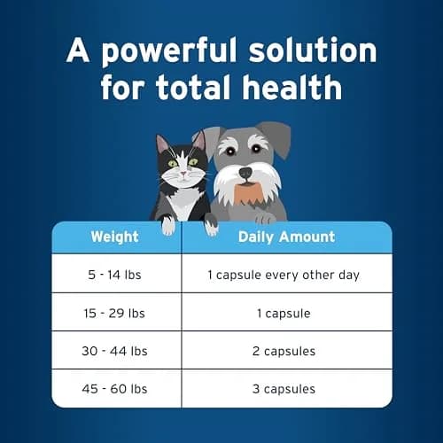 Pet Protect Omega-3 Fish Oil Supplement for Cats & Small Dogs, 60 Capsules | Supports Joint, Heart & Immune Health thumbnail 6