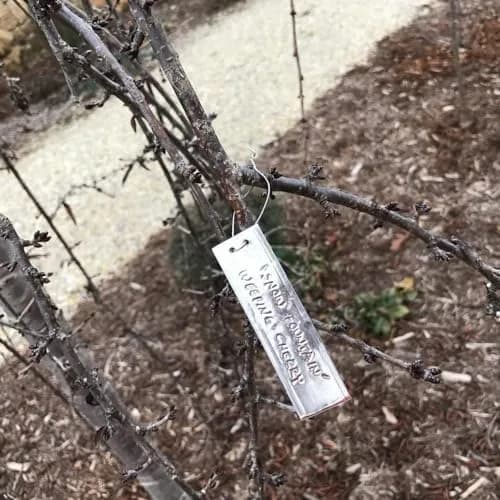 TINSKY Aluminum Plant Labels - 50PCS Metal Tags with Wires for Plant Markers, Tree Tags, Outdoor Identification and Greenhouse thumbnail 9