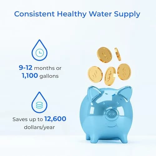 Waterdrop WD-MNR35-2 Remineralization Filter for RO Systems 4160L (1100 Gallons) | Restores Essential Minerals for Tap Water thumbnail 6