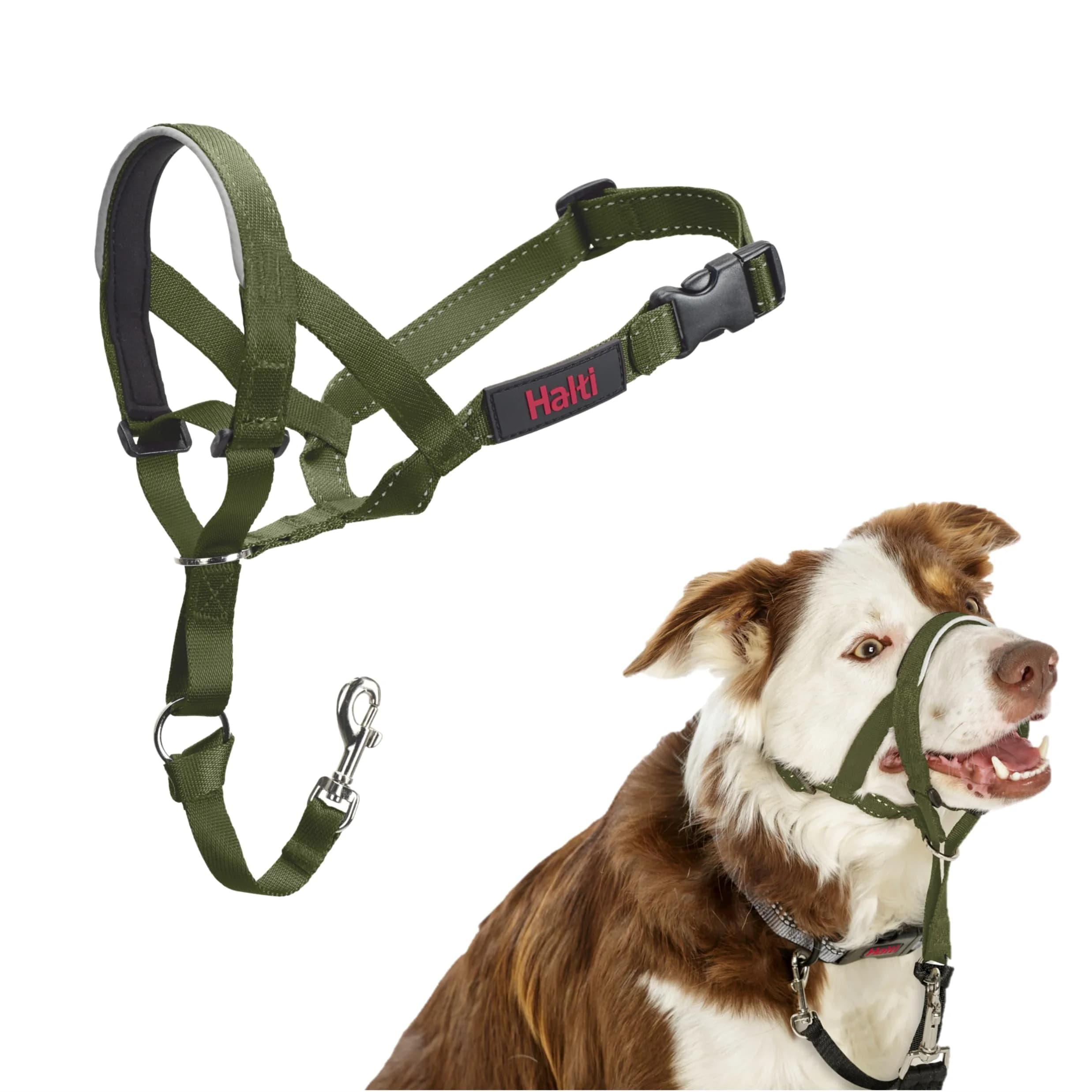 Halti Headcollar Size 2 Forest Green | Gentle Dog Training Collar for Medium Dogs, Stops Pulling — Forest Green