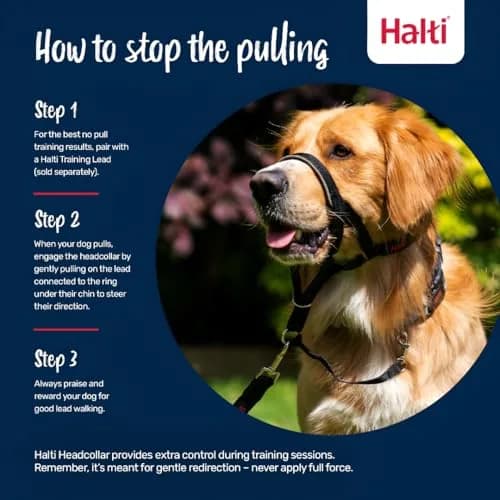 Halti Headcollar Size 2 Forest Green | Gentle Dog Training Collar for Medium Dogs, Stops Pulling thumbnail 4