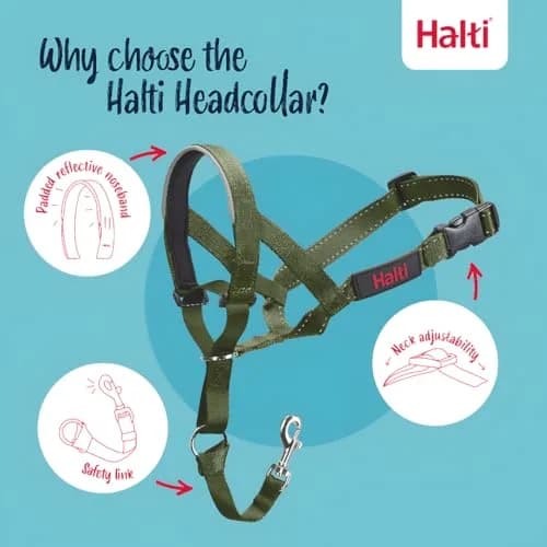Halti Headcollar Size 2 Forest Green | Gentle Dog Training Collar for Medium Dogs, Stops Pulling thumbnail 3