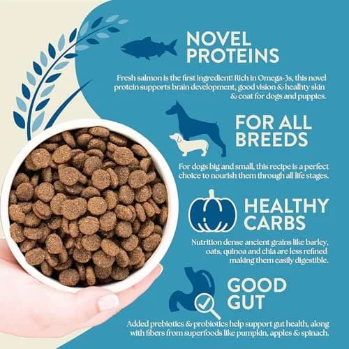 Earthborn Holistic Unrefined with Grains Smoked Salmon Dry Dog Food 25 lb | Ancient Grains & Superfoods for All Breeds thumbnail 6