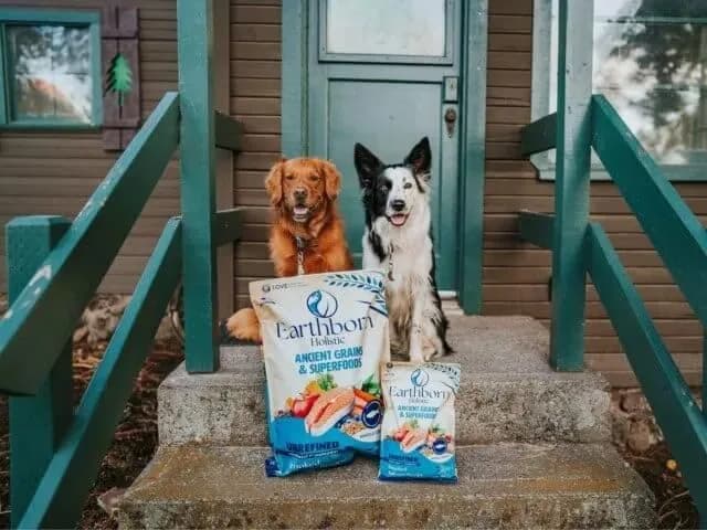 Earthborn Holistic Unrefined with Grains Smoked Salmon Dry Dog Food 25 lb | Ancient Grains & Superfoods for All Breeds thumbnail 3