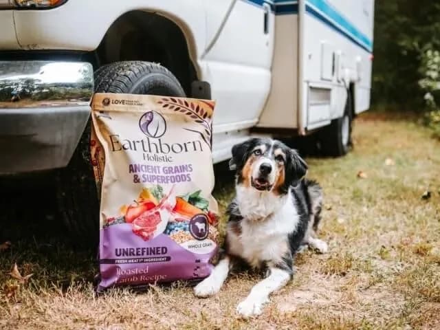 Earthborn Holistic Unrefined with Grains Roasted Lamb Dry Dog Food 11.34kg (25 lb) | Supports Sensitive Stomachs thumbnail 2