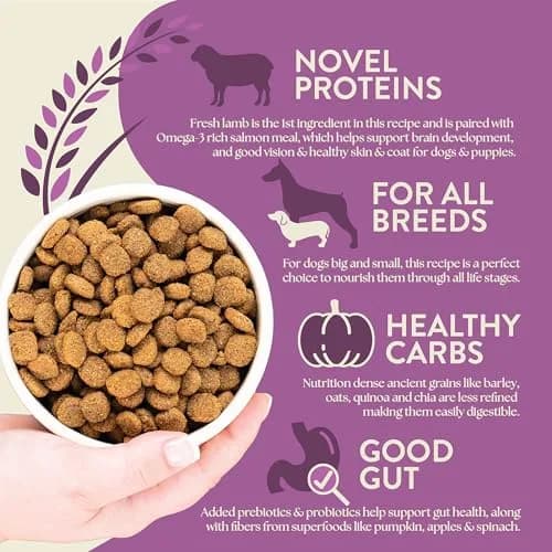 Earthborn Holistic Unrefined with Grains Roasted Lamb Dry Dog Food 11.34kg (25 lb) | Supports Sensitive Stomachs thumbnail 5