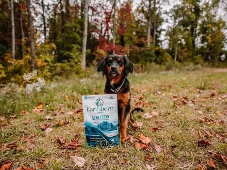 Earthborn Holistic Venture LID Pollock & Pumpkin Dry Dog Food 25 lb Bag | Limited Ingredient, Grain-Free, All Life Stages thumbnail 2