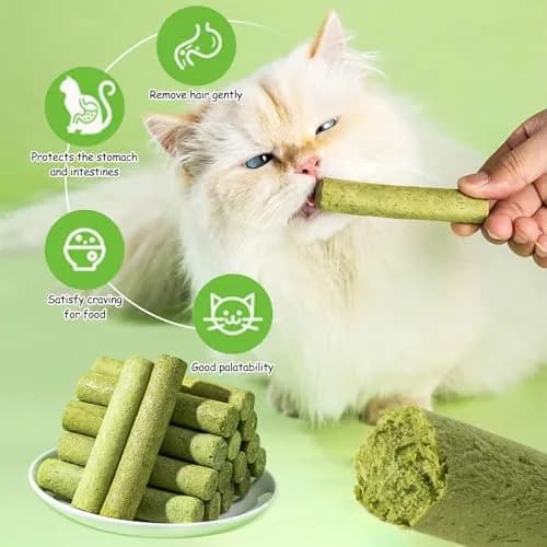 HavenJanny Cat Grass Teething Stick with Chicken 50g (1.76 oz) | Hairball Control & Dental Health thumbnail 5
