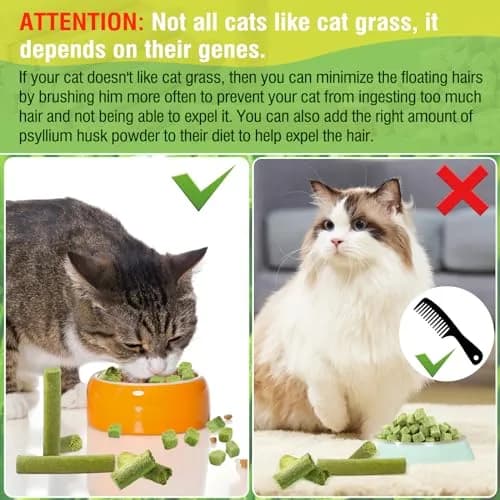 HavenJanny Cat Grass Teething Stick with Chicken 50g (1.76 oz) | Hairball Control & Dental Health thumbnail 6