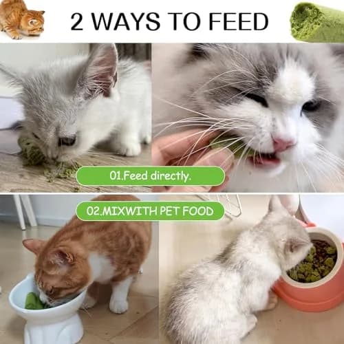 HavenJanny Cat Grass Teething Stick with Chicken 50g (1.76 oz) | Hairball Control & Dental Health thumbnail 8