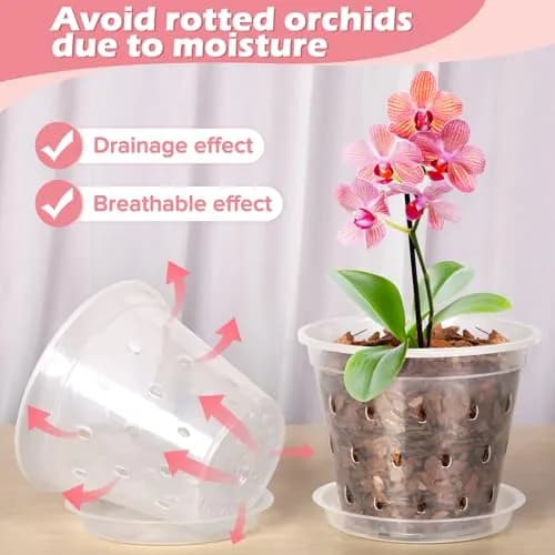 FUIJOL Orchid Pot 4 Inch Clear | Breathable Plastic Planter with Drainage thumbnail 3
