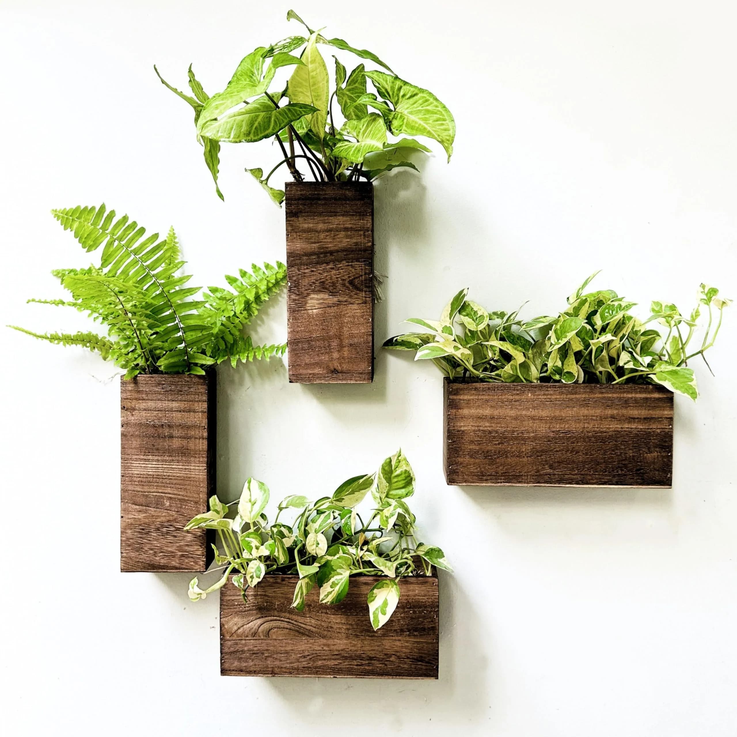 LáLáGreen Wooden Wall Planters (4 Pack) Hanging Wood Planter Box for Plants - main product image