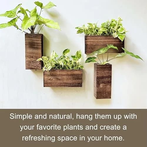 LáLáGreen Wooden Wall Planters (4 Pack) Hanging Wood Planter Box for Plants thumbnail 4