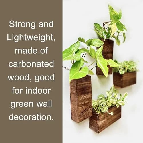 LáLáGreen Wooden Wall Planters (4 Pack) Hanging Wood Planter Box for Plants thumbnail 5