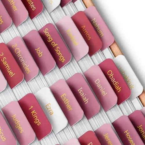 Mr. Pen Pink Plum Orchard Bible Tabs (75 Tabs) | Gold Foil Embossed Lettering for Organized Study — Plum Orchard