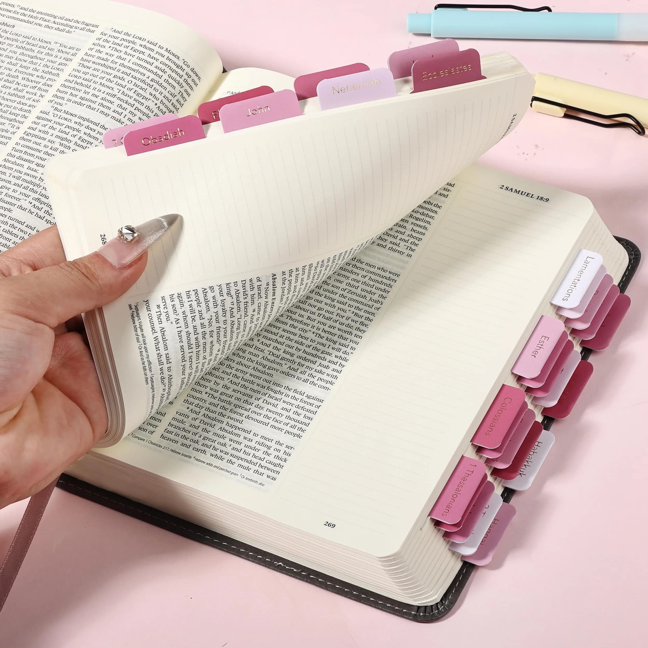 Mr. Pen Pink Plum Orchard Bible Tabs (75 Tabs) | Gold Foil Embossed Lettering for Organized Study thumbnail 6
